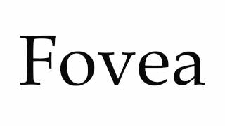 How to Pronounce Fovea [upl. by Lissie]