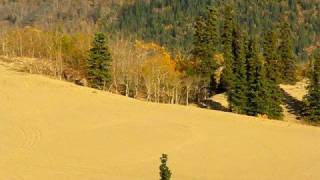 Carcross quotDesertquot Yukon [upl. by Ardelle177]