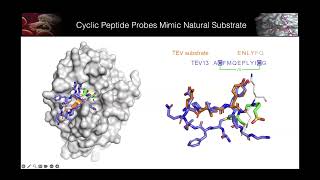 Matt Bogyos 20240320 Antiviral Drug Discovery AViDD Open Science Forum Talk [upl. by Yancy]