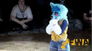 FWA 2013  Dance Competition 08 Blue Thunder [upl. by Noellyn]