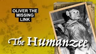 Oliver The Humanzee [upl. by Deanna428]