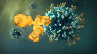 FluFacts Dynamic 3D Visualizations of Seasonal Influenza [upl. by Pavior750]