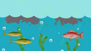 What is eutrophication [upl. by Ddal299]