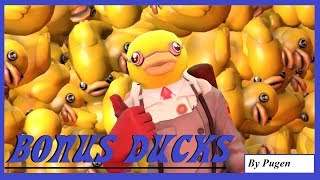 SFM Bonus Ducks [upl. by Lehteb586]