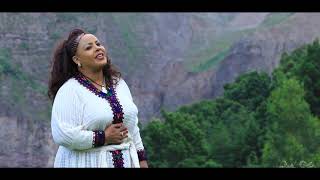 Amsal Mitike  ወይ ወሎ  Ethiopian Music 2019 Official Video [upl. by Hamaso295]