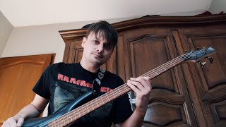 The Warning  Dust to Dust  Bass Cover [upl. by Atiker640]