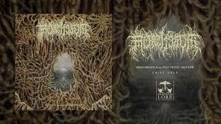 MORTIFERUM  Archaic Vision Of Despair official audio [upl. by Hanimay]