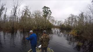 Against All Odds Outdoors Manchac Bass Fishing Tripturns into a Choupique trip [upl. by Eelnyl]