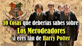 10 Cosas que debes saber sobre Los Merodeadores si eres fan de Harry Potter [upl. by Warms]