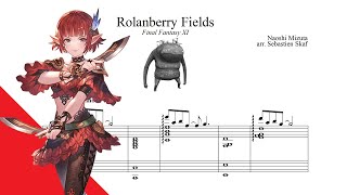 Rolanberry Fields  Final Fantasy XI Piano cover [upl. by Onilegna526]