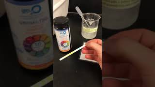 Lactase Enzyme Lactaid Dairy Relief Lab Part 1 [upl. by Erehs]