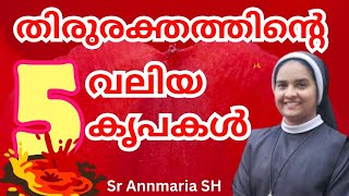 തിരുരക്തത്തിന്റെ 5 വലിയ കൃപകൾ  Sr Ann Maria SH  New [upl. by Blackington]