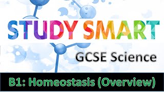 B1 Homeostasis Overview EDEXCELAQA [upl. by Dnalel]