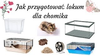 Jak przygotować lokum dla chomika [upl. by Sathrum]