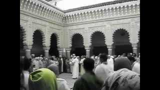 رقص صوفي في ضريح الهادي بن عيسى بمكناس المغرب  Sufi Dance in Meknes Morocco [upl. by Aklim]