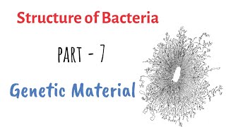 Structure of Bacteria  Part 7  Genetic Material [upl. by Streetman96]