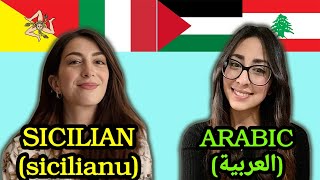 Similarities Between Arabic and Sicilian [upl. by Nagyam512]