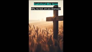 Inspirational Bible Verse PUT YOUR HOPE IN GOD Psalm 4211 [upl. by Nickolai901]