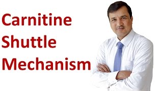 Carnitine Shuttle Mechanism [upl. by Nirihs]