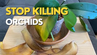 Stop Killing Your ORCHIDS  Orchid Leaves Turning Yellow [upl. by Noraj639]