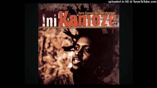 Ini Kamoze  Here’s Comes The Hotstepper Pitched [upl. by Aeirdna812]