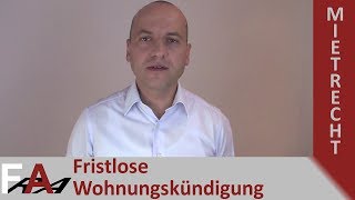 Fristlose Kündigung des Mietverhältnisses  Mieter wirft Vermieter aus der Wohnung [upl. by Moclam98]