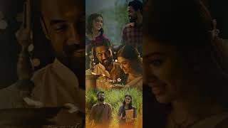 Kiliye song status 💗 Arm movie song status tovino thomas  Keerthi Shetty [upl. by Meibers]