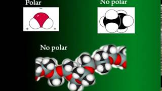 Origen y características de la química orgánica [upl. by Carrick]