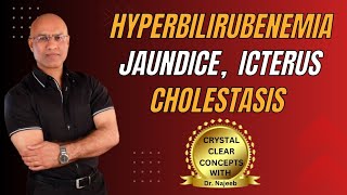 Jaundice vs Hyperbilirubinemia vs Icterus vs Cholestasis 🩺 [upl. by Babs]