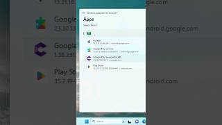 Install Google Play Store in Windows 1011 [upl. by Leo471]