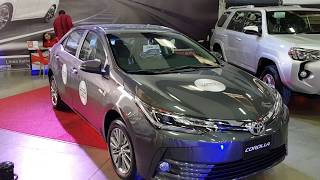 Toyota Corolla 2019 [upl. by Enaillil119]