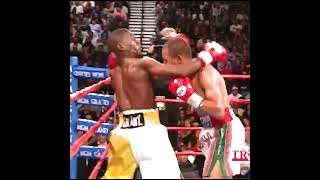 El Temible Castillo El Mexicano Que Paralizo La Técnica Mayweather eltemiblecastillo [upl. by Grefe230]