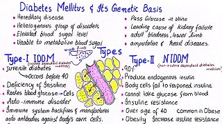 Diabetes mellitus and its genetic basis  IDDM amp NIDDM  class 12 [upl. by Aikrahs]