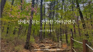 10시간🌳산에서 듣는 잔잔한 가야금 연주 10시간 연속듣기🌈⎮ 중간광고없음 ⎮ 집중 공부 힐링 휴식 감성 명상 태교음악 10Hours korea gayageum Play [upl. by Enileme]