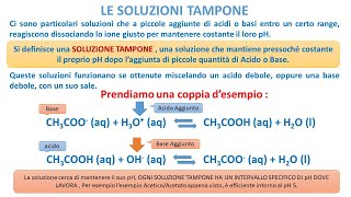 LE SOLUZIONI TAMPONE [upl. by Safire]