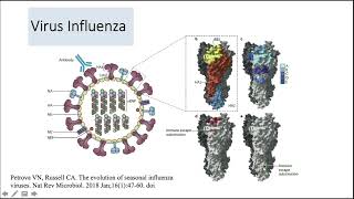 Coinfección influenza y Bacteremia por staphylococcus aureus MS  posgrado Infectología UNAL [upl. by Korten]