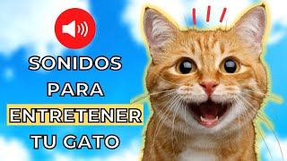 10 Sonidos para Gatos que los volverán LOCOS 😹 [upl. by Annoj]