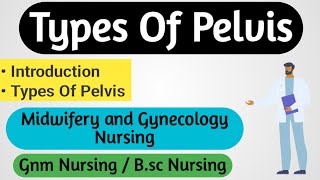 Types Of Pelvis  Midwifery And Gynecology Nursing  Nursing Notes [upl. by Hanni]