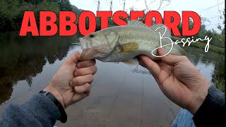 Bait Finesse bass fishing Vancouver  Ace hawk AG venom  Kastking Zephyr  Booyah Micro pond magic [upl. by Refanej145]