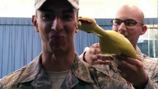 USAF Honor Guard  Rubber Chicken Bearing Test [upl. by Lindbom]