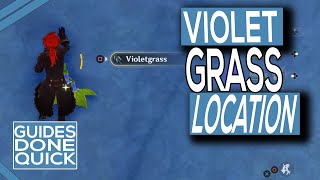 Genshin Impact Violetgrass Location Guide [upl. by Naillik]