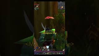 28 Marksman Hunter🏹 vs 38 Druid⚡ wowclassic worldofwarcraftclassic wowhunter [upl. by Doralyn]