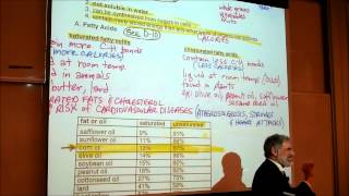 BIOLOGICAL CHEMISTRISTY PART 2 POLYSACCHARIDES amp FATTY ACIDS by Professor Fink [upl. by Iat909]