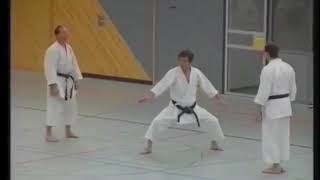 Seienchin  Kata amp bunkai  Hirokazu Kanazawa  10th dan Shotokan karate [upl. by Anaillil]