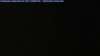 Edisto Beach State Park Live Stream [upl. by Gnaw994]