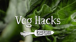 Spring Greens  Two Fantastic Spring Green Wraps  VEG HACKS [upl. by Galasyn]