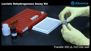 Lactate Dehydrogenase Assay Kit [upl. by Aihsined]