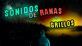 SONIDO de 🐸RANAS y 🦗GRILLOS por la NOCHE [upl. by Nirad]