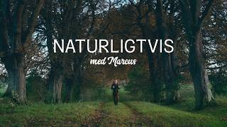 NATURLIGTVIS MED MARCUS – EN FILM OM NYA ARTER I VÅR SVENSKA FAUNA [upl. by Iviv148]