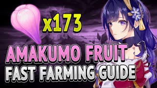 Amakumo Fruit All Locations FAST FARMING ROUTE  Genshin Impact 21 [upl. by Leak]